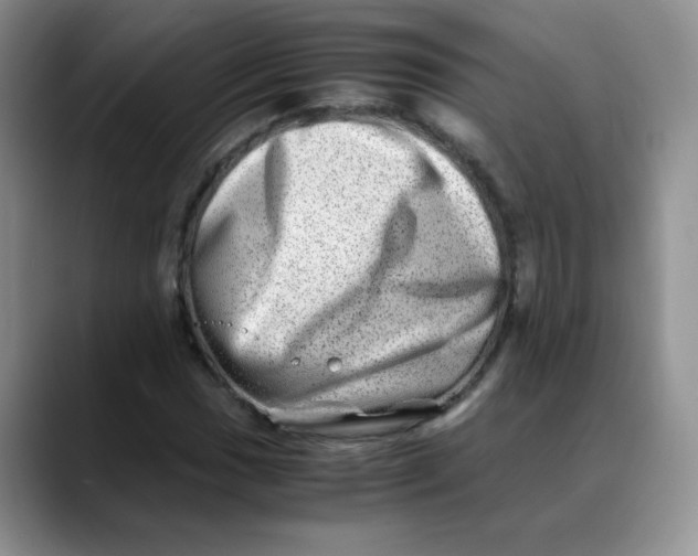 X0000088441017200706121505