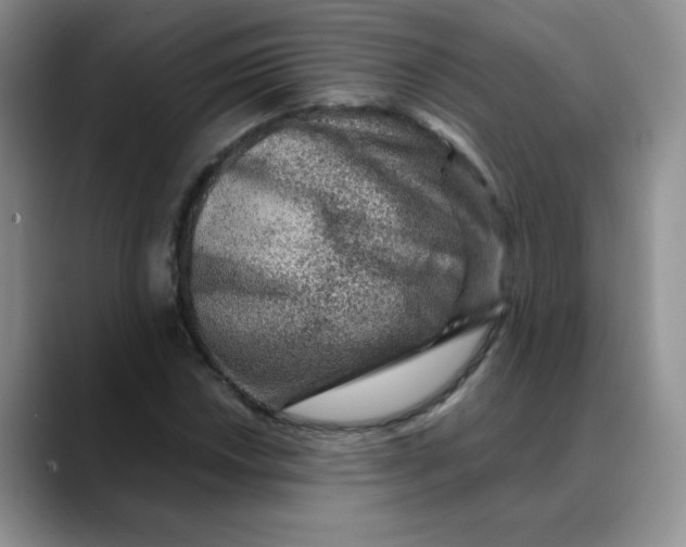 X0000088441018200706121505