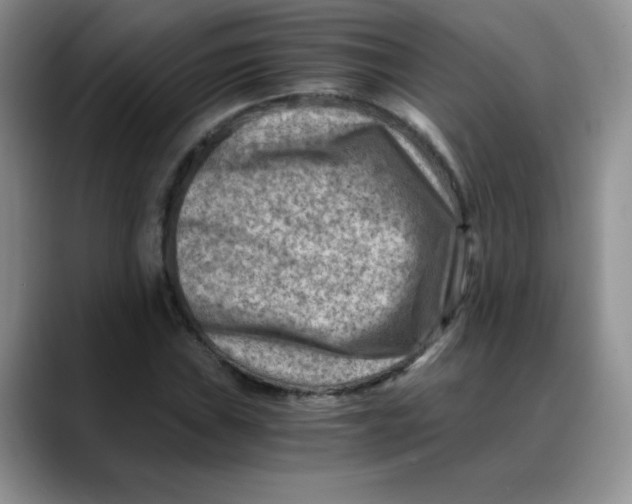 X0000088441019200706121505