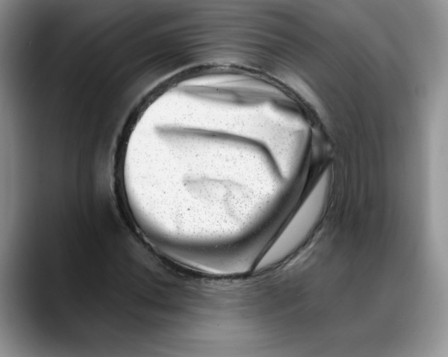 X0000088441020200706121505