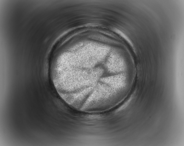 X0000088441021200706121505
