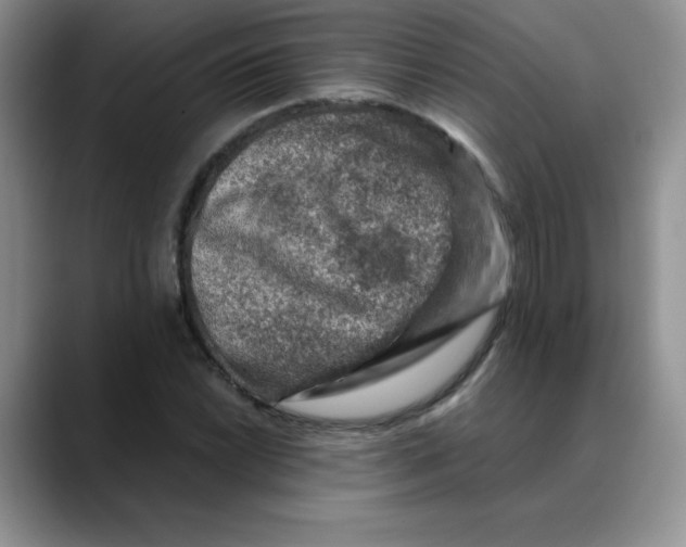 X0000088441022200706121505