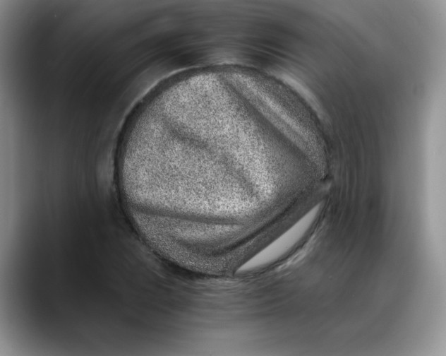 X0000088441023200706121505