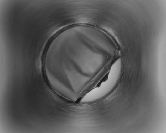 X0000088441024200706121505