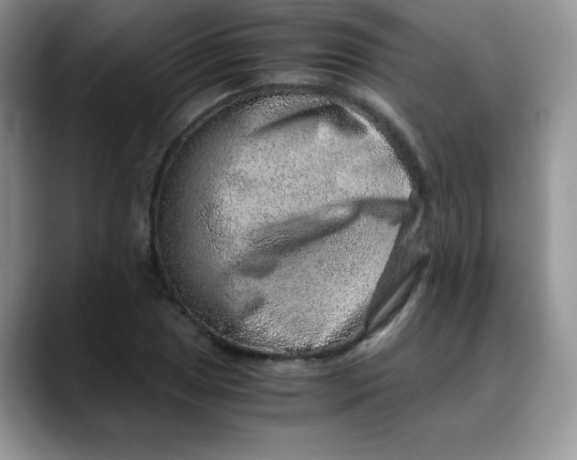 X0000088441025200706121505