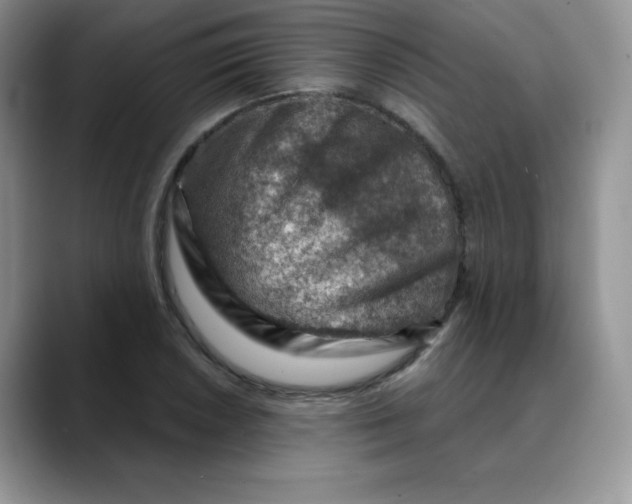 X0000088441026200706121505