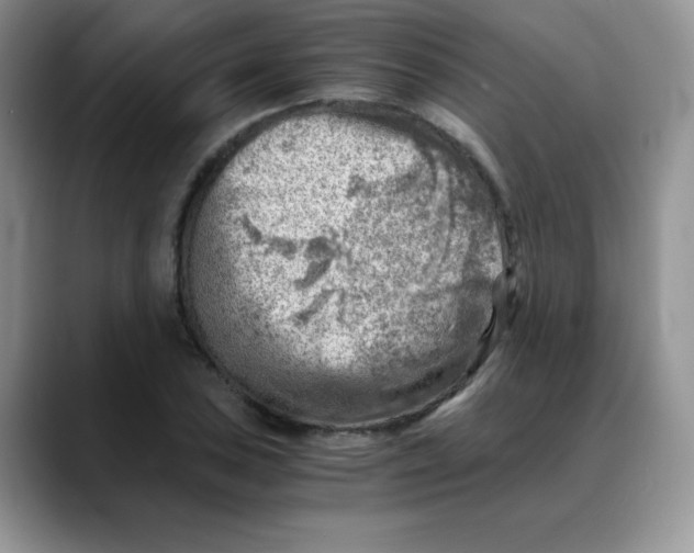 X0000088441027200706121505