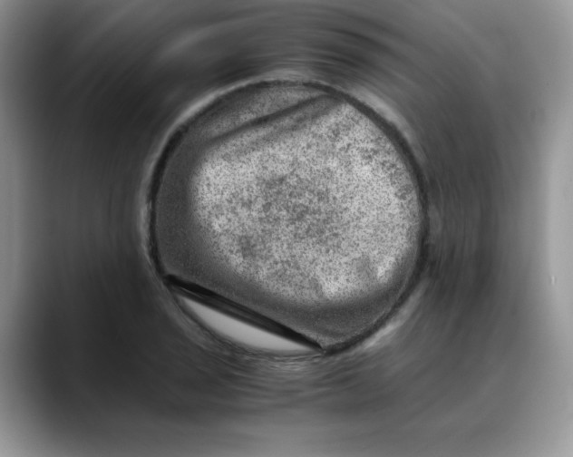 X0000088441029200706121505