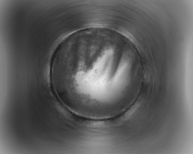 X0000088441030200706121505