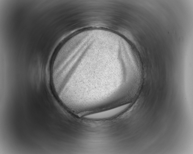 X0000088441032200706121505