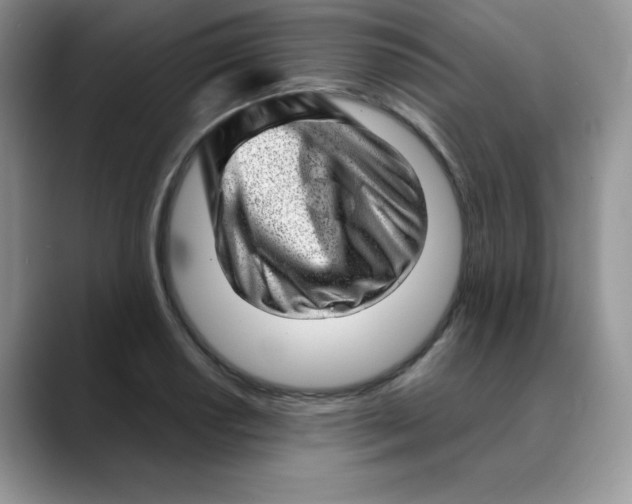 X0000088441034200706121505