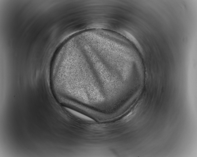 X0000088441035200706121505