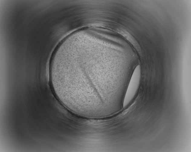 X0000088441036200706121505