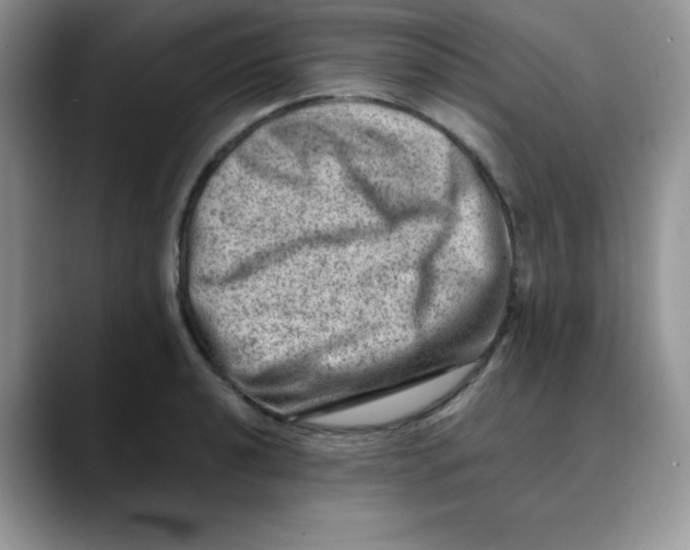 X0000088441040200706121505