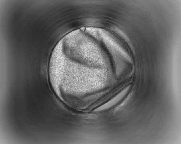 X0000088441041200706121505