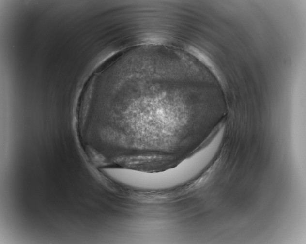 X0000088441042200706121505