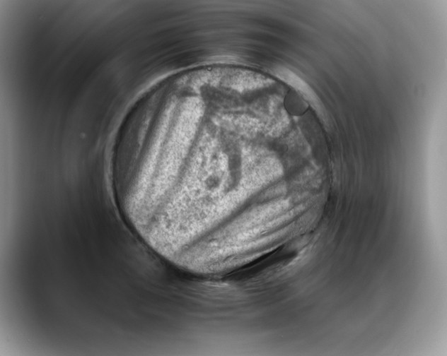 X0000088441043200706121505