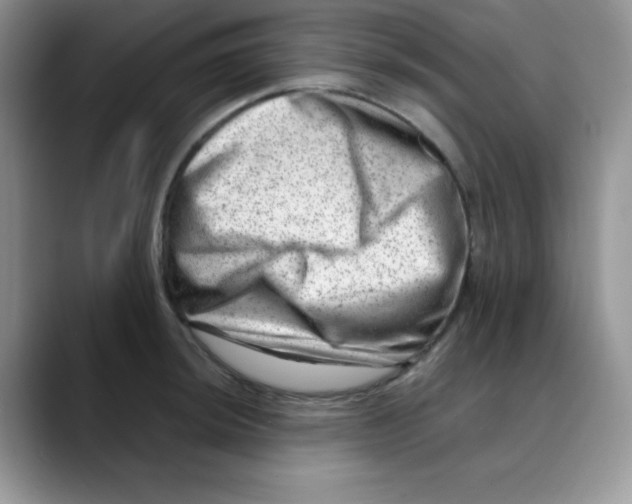 X0000088441044200706121505