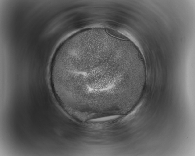 X0000088441045200706121505