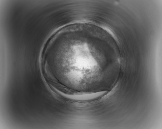 X0000088441046200706121505