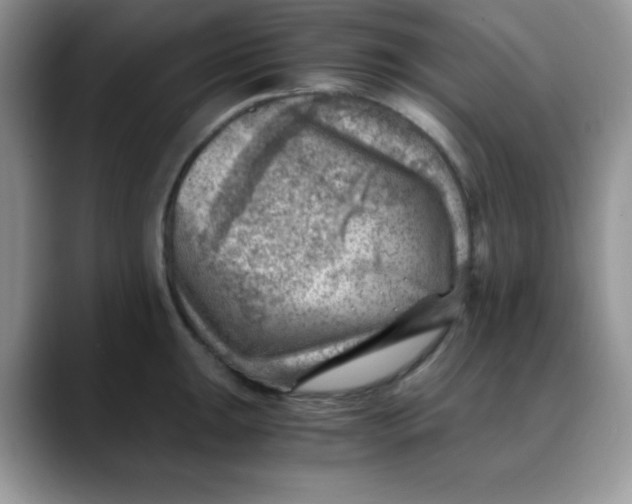 X0000088441047200706121505