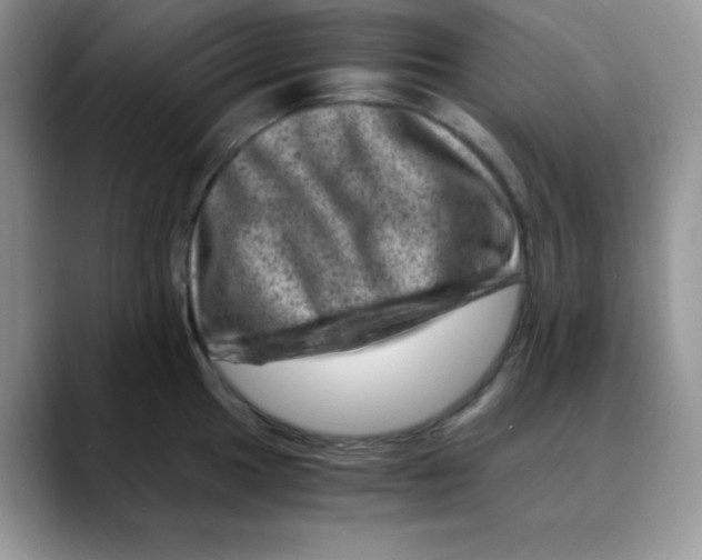 X0000088441049200706121505