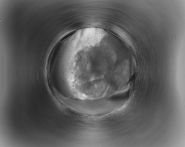 X0000088441050200706121505