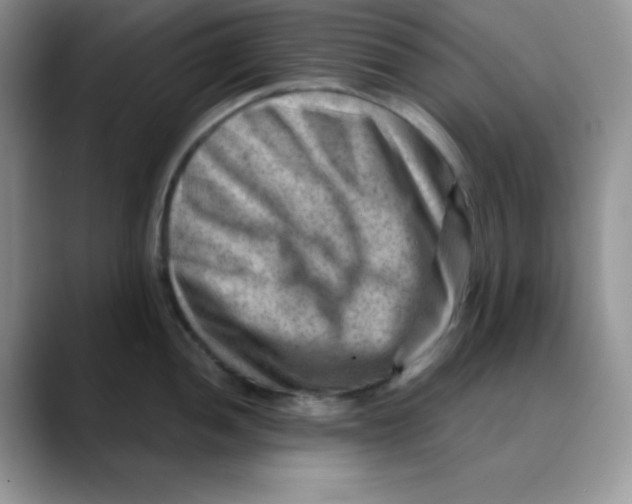 X0000088441052200706121505