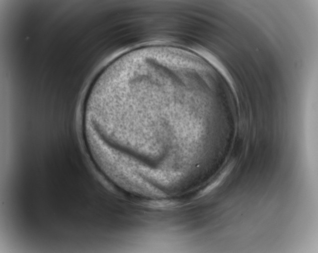 X0000088441053200706121505