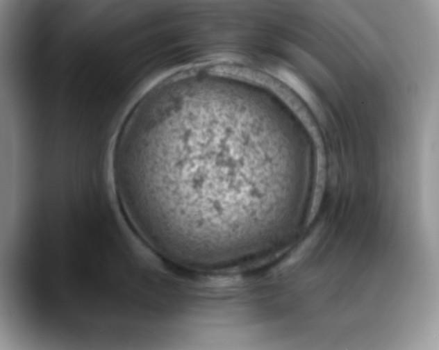 X0000088441055200706121505