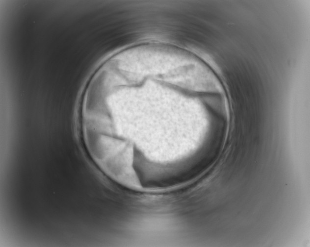 X0000088441056200706121505
