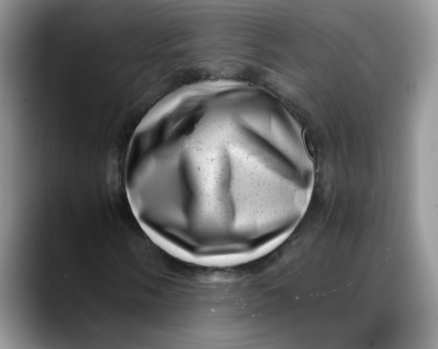 X0000088441058200706121505