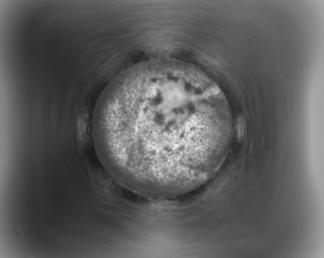 X0000088441059200706121505