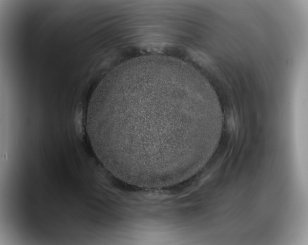 X0000088441060200706121504
