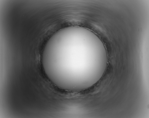 X0000088441061200706121504
