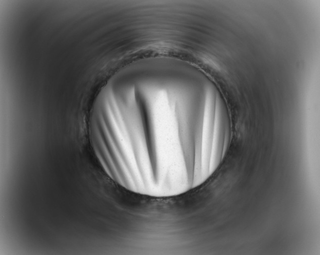 X0000088441062200706121504