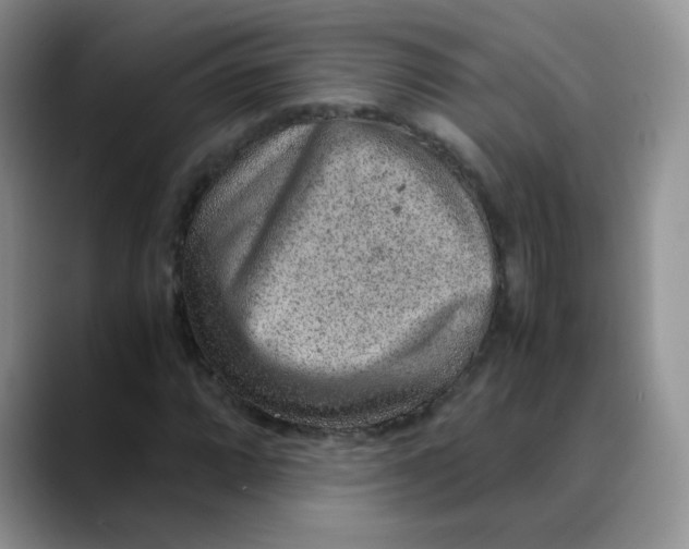 X0000088441064200706121504