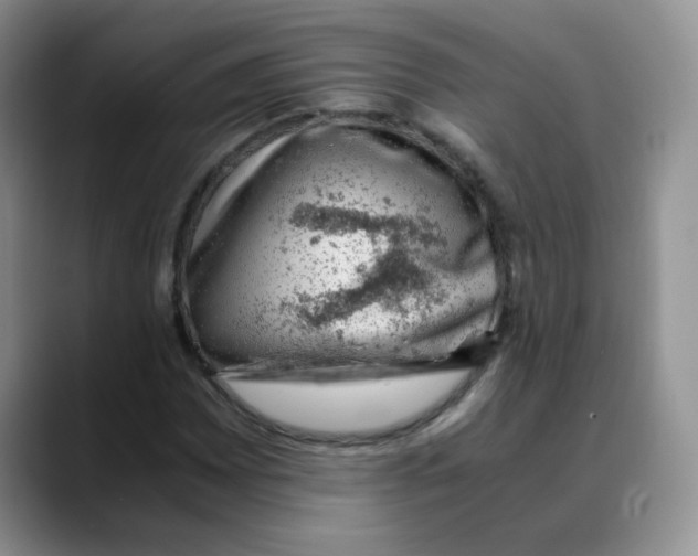 X0000088441065200706121504