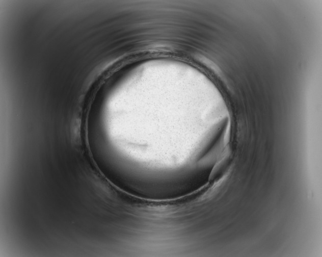 X0000088441066200706121504