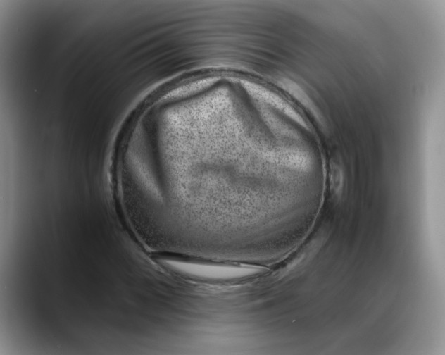 X0000088441068200706121504