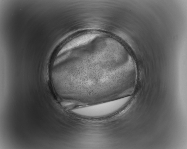 X0000088441069200706121504