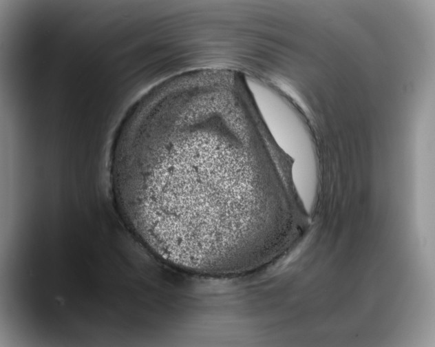 X0000088441071200706121504