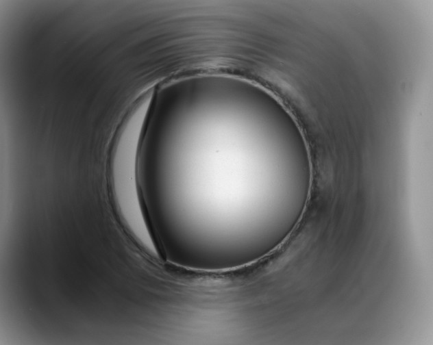 X0000088441073200706121504
