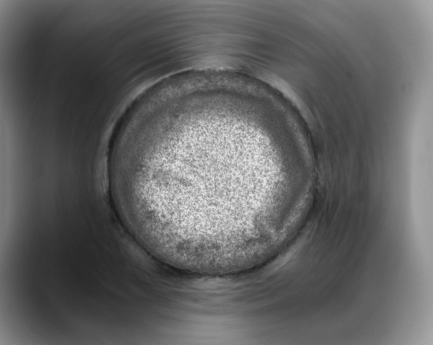 X0000088441075200706121504