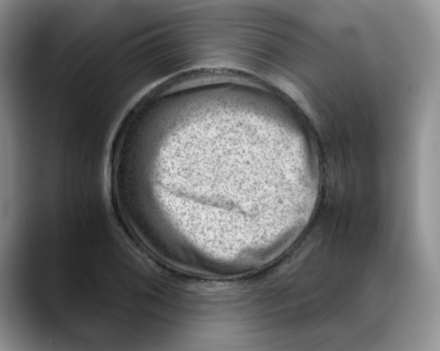 X0000088441076200706121504