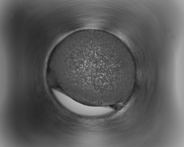 X0000088441077200706121504