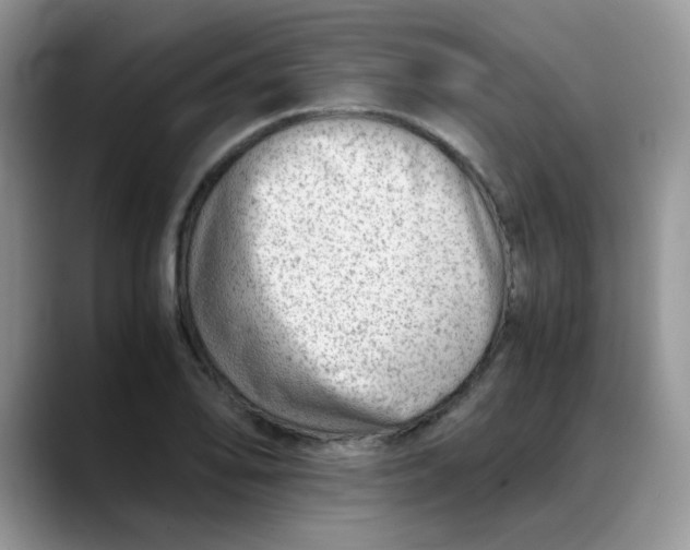 X0000088441078200706121504