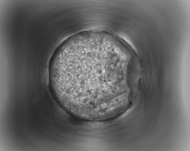 X0000088441079200706121504