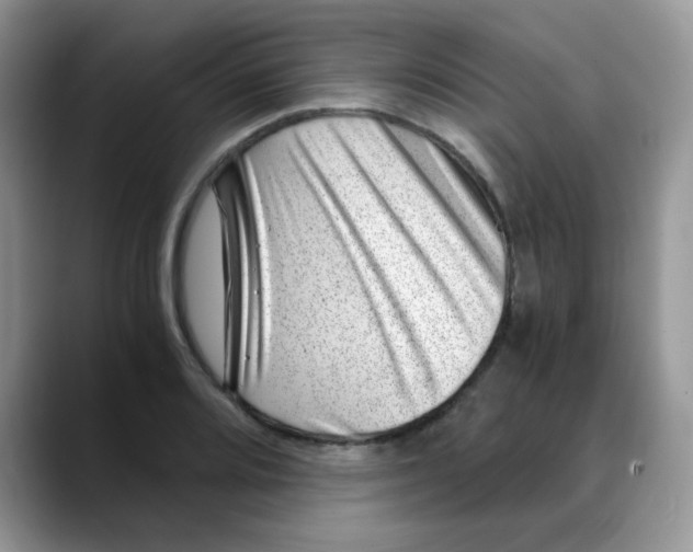 X0000088441080200706121504