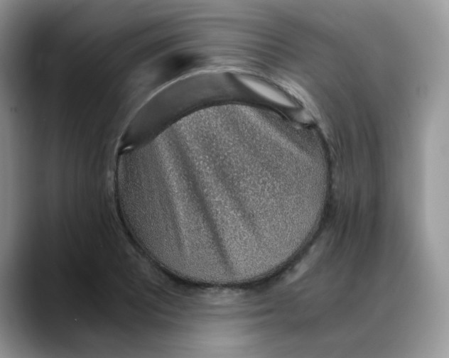 X0000088441081200706121504